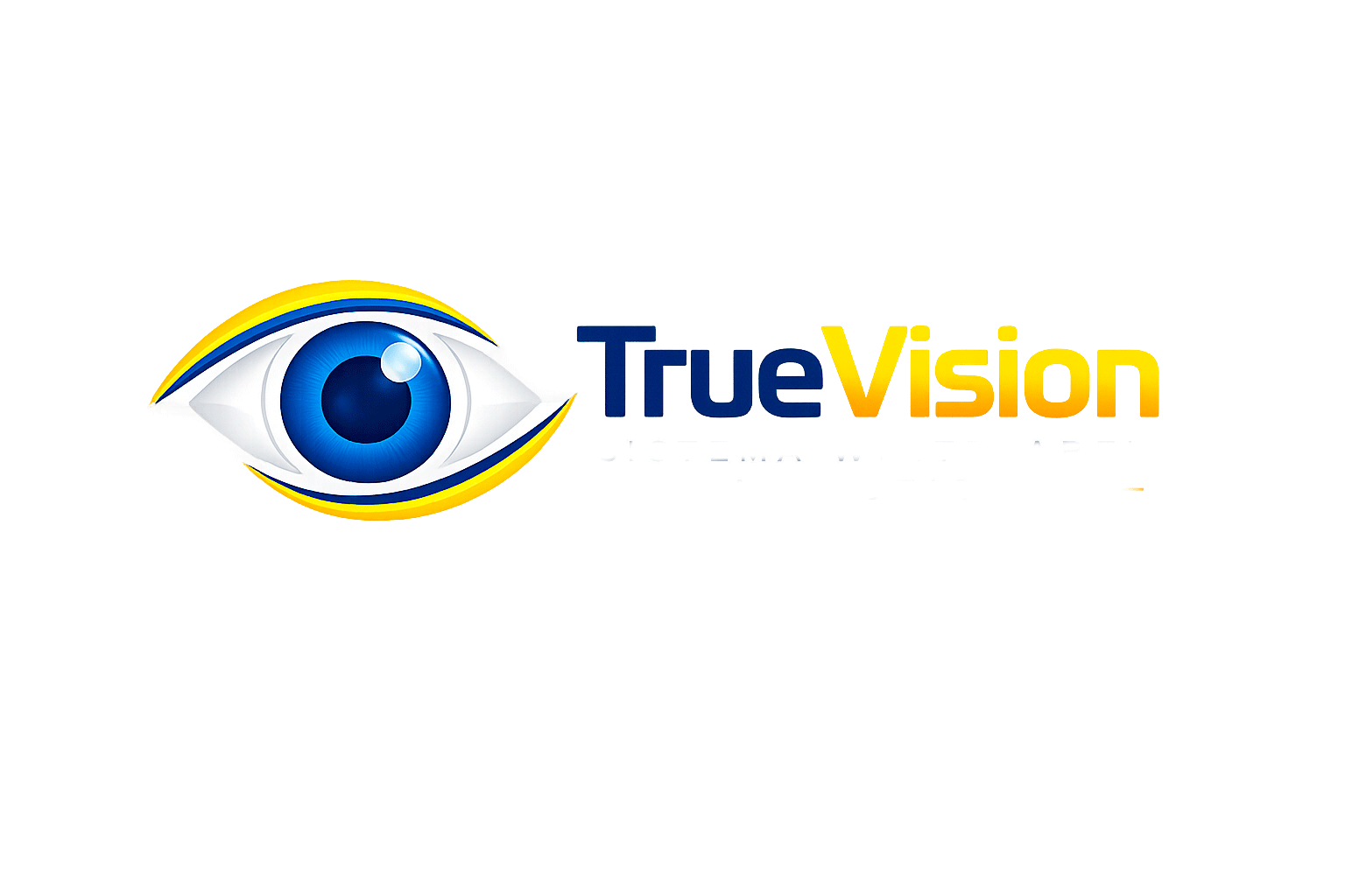 Truevision Software TrueVision | Sites profissionais para óticas